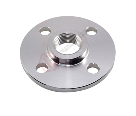 Stainless Steel Flange