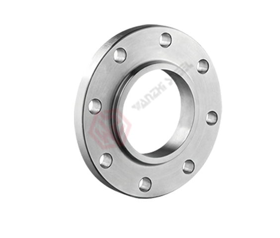 Stainless Steel Flange