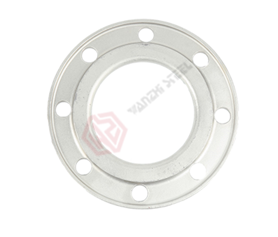 Stainless Steel Flange