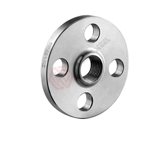 Stainless Steel Flange