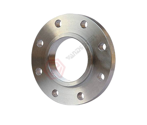 Stainless Steel Flange