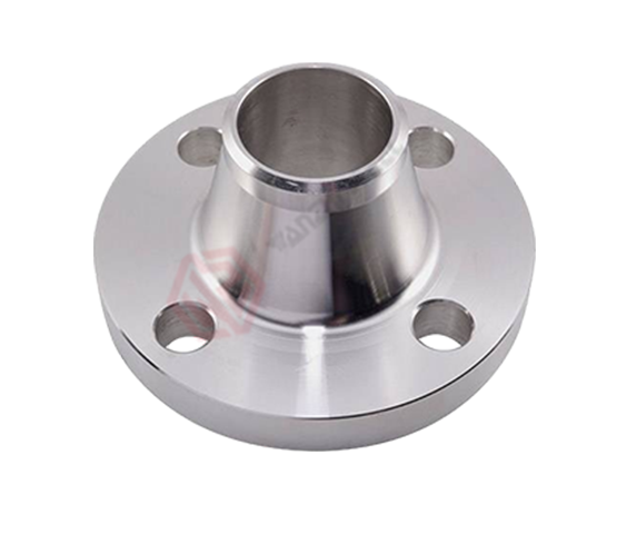 Stainless Steel Flange